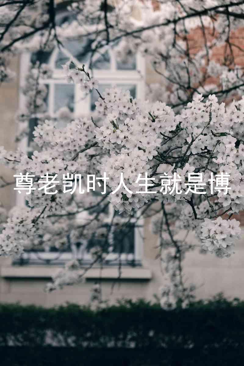 尊老凯时人生就是博